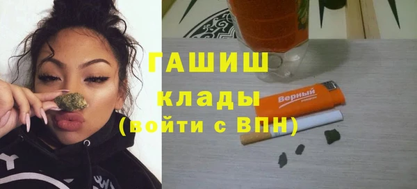дмт Пересвет