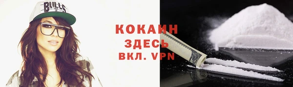дмт Пересвет
