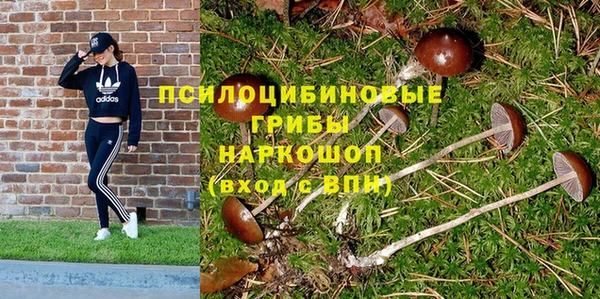 гидра Волоколамск