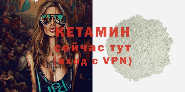 дмт Пересвет