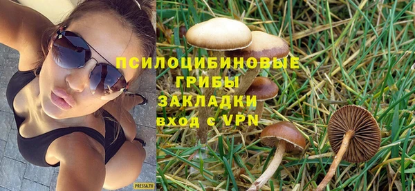 сатива Пестово
