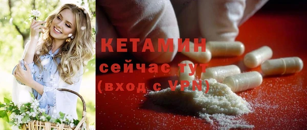 дмт Пересвет